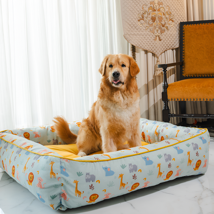 Creating the Perfect Cozy Spot for Your Pet