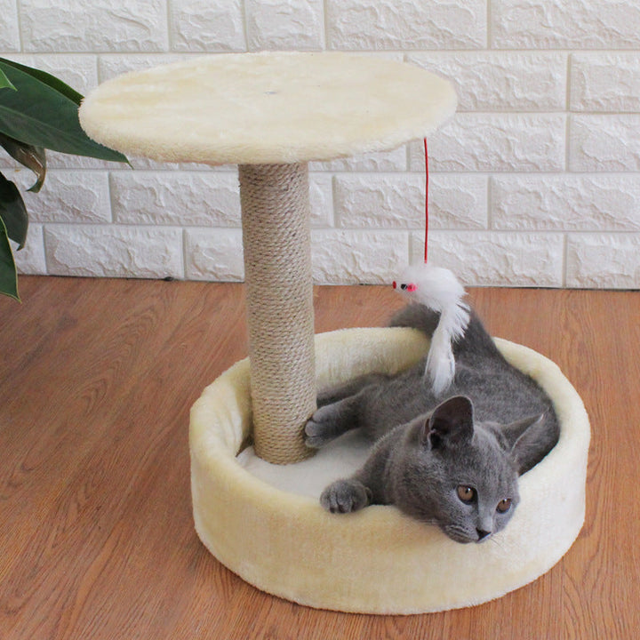 Discover the Perfect Playground for Your Feline Friend