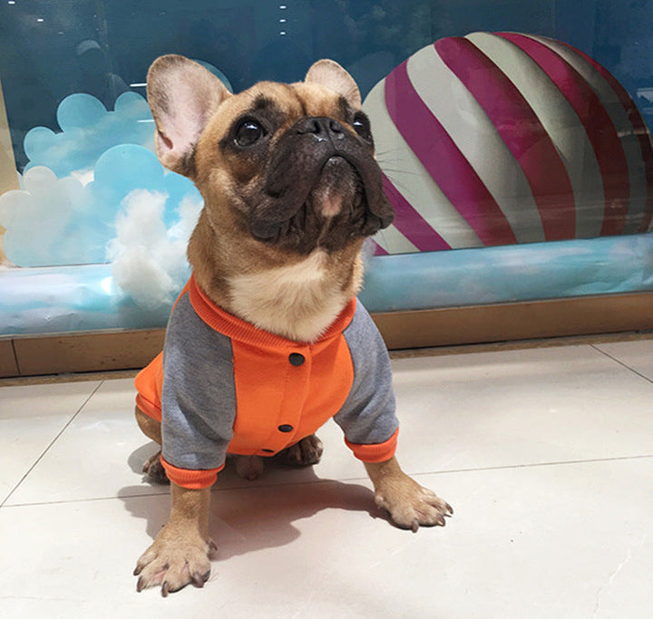 Cozy Up Your Pet with the Plus Velvet Sweater