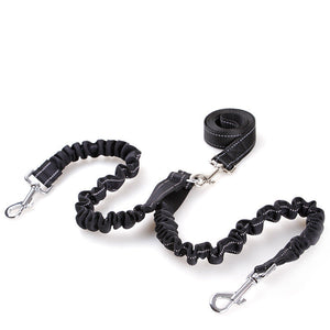 Double-Head Retractable Leash for Pet