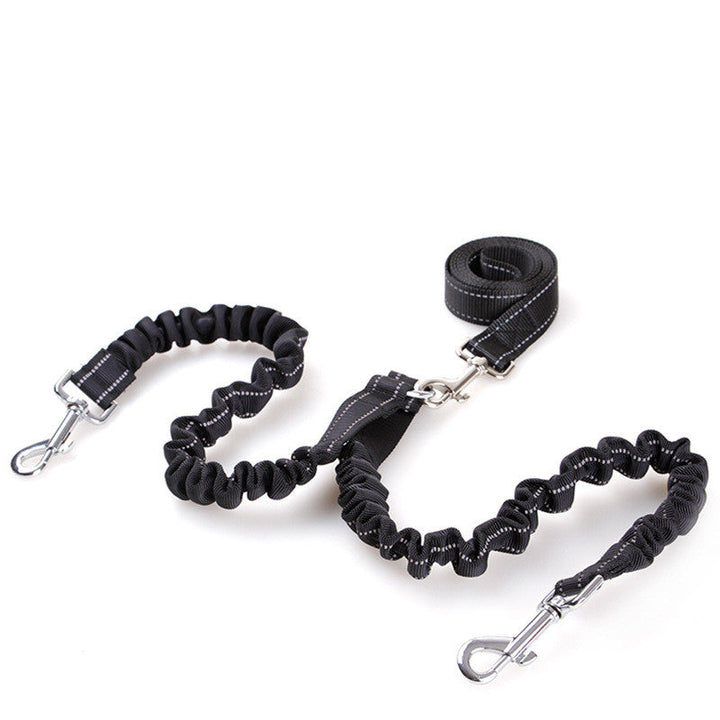 Double-Head Retractable Leash for Pet