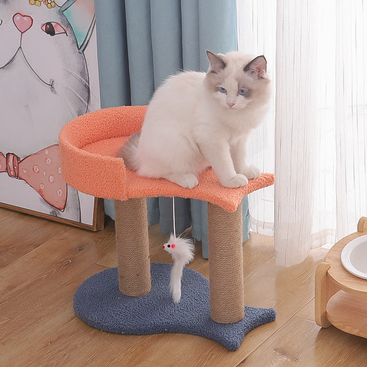 Unleash the Fun with the Pet Jumping Platform Toy With Nest!
