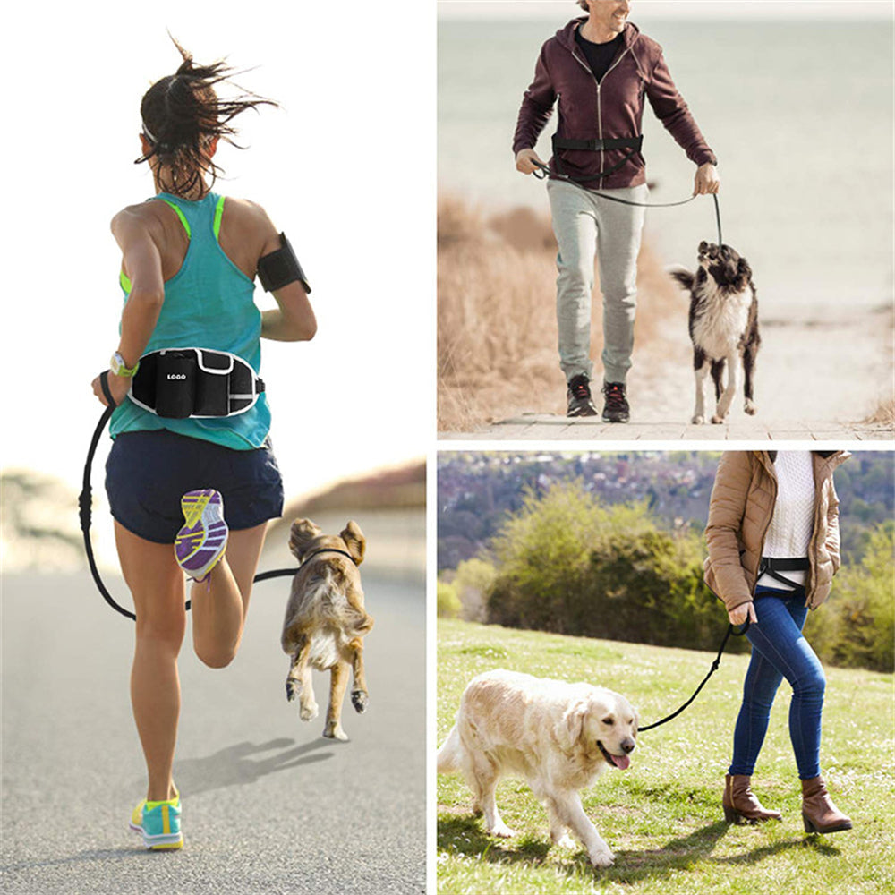 Enhance Your Outdoor Adventures with Our Portable Running and Walking Leash for Pets