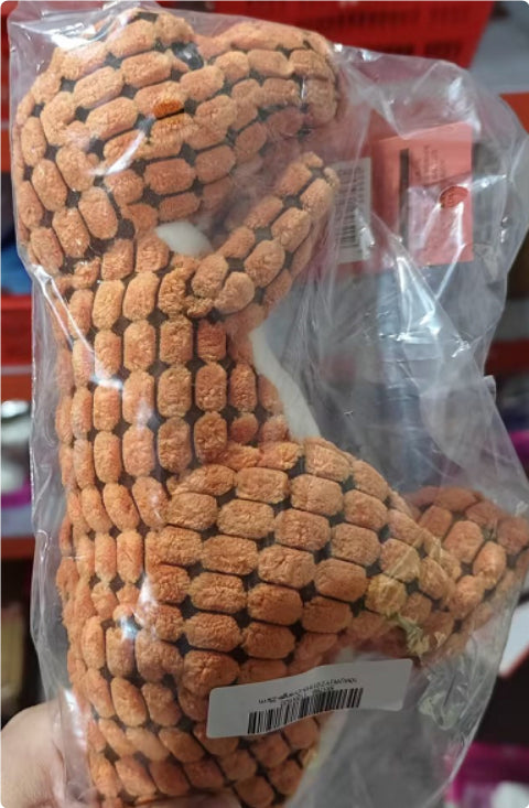 Unleash Fun with the Giant Dinosaur Interactive Pet Toy!