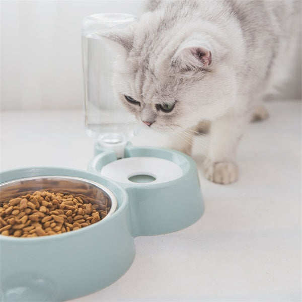 Why Your Pet Deserves the Durable Feeding Bowl