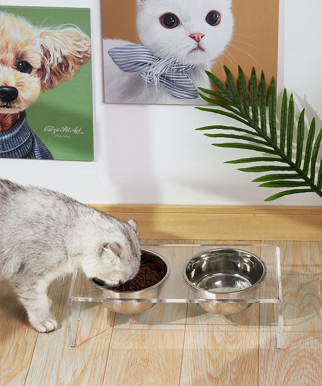 Transform Your Pet's Mealtime with Our Acrylic Feeding Rack