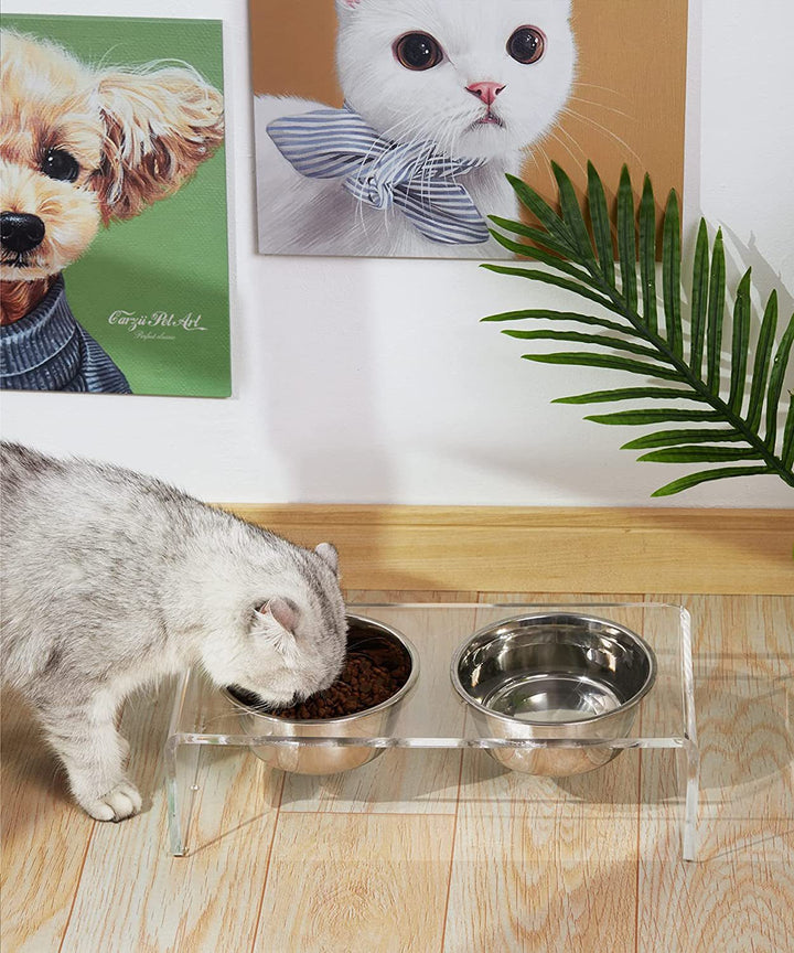 Transform Your Pet's Mealtime with Our Acrylic Feeding Rack