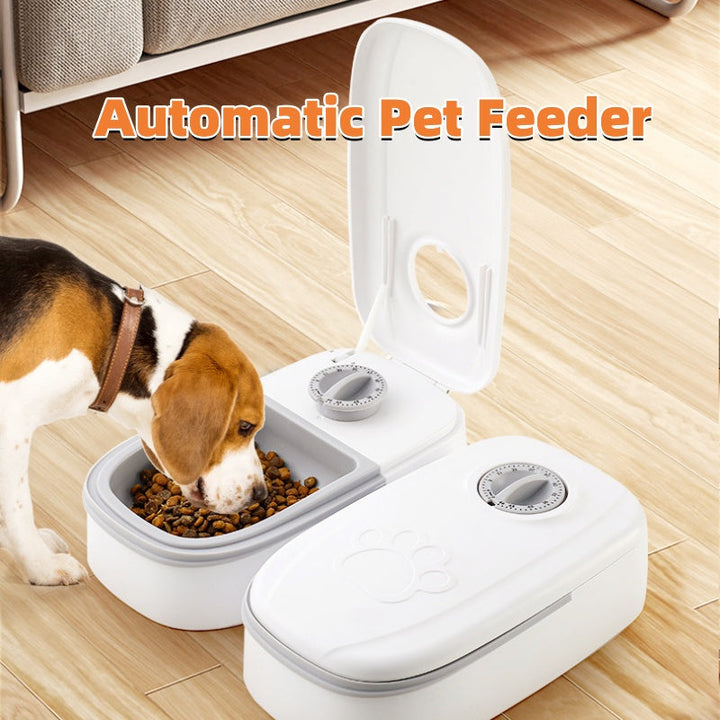 Smart Automatic Food Dispenser for Your Beloved Pets