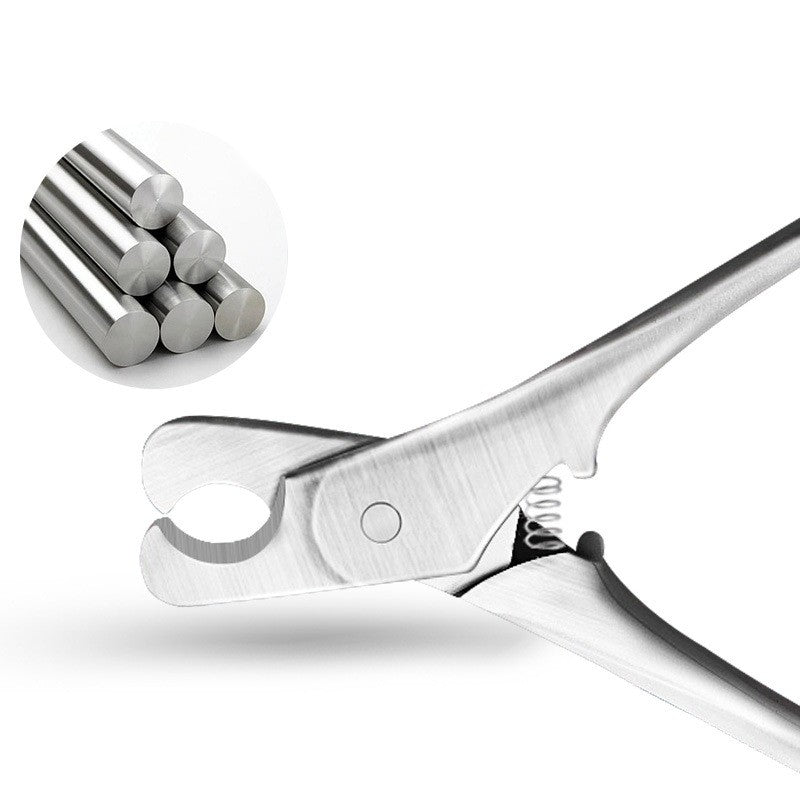 High Density Nail Scissors For Pets