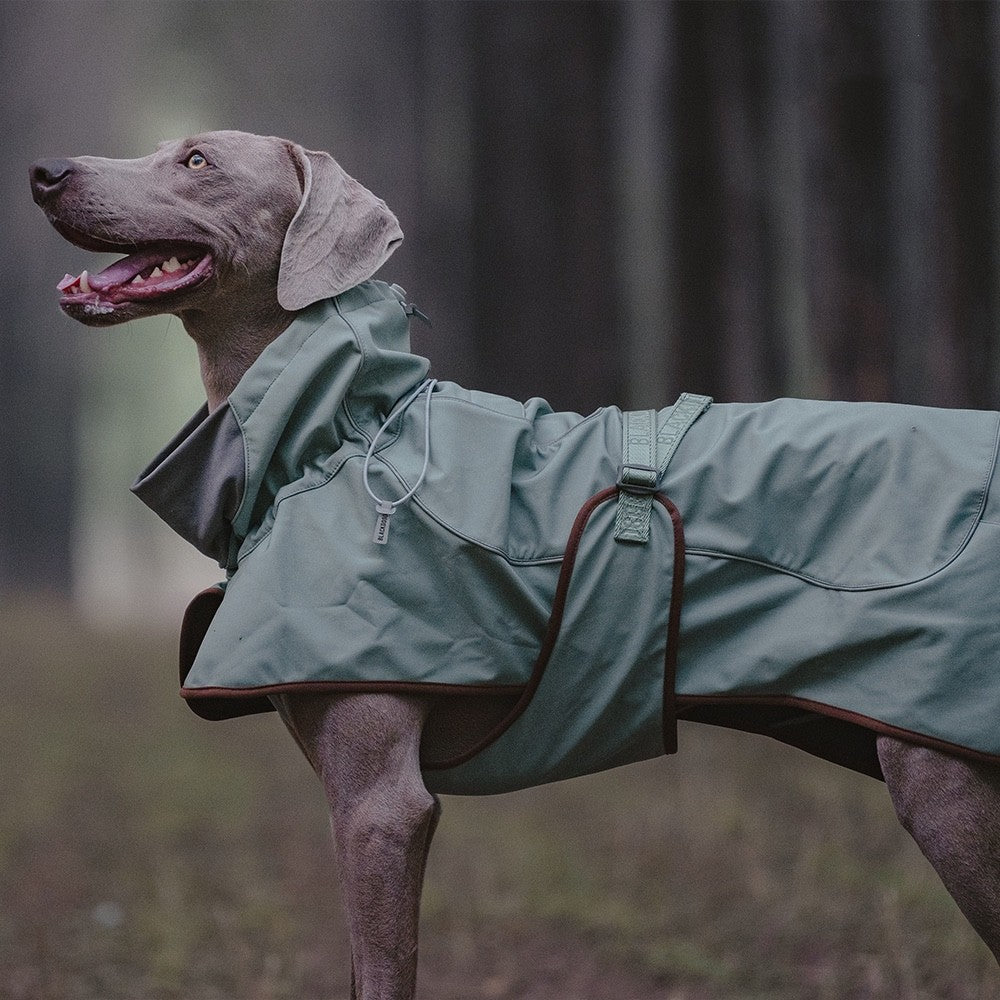 Outdoor Soft Shell Waterproof Windproof Jacket For Pets