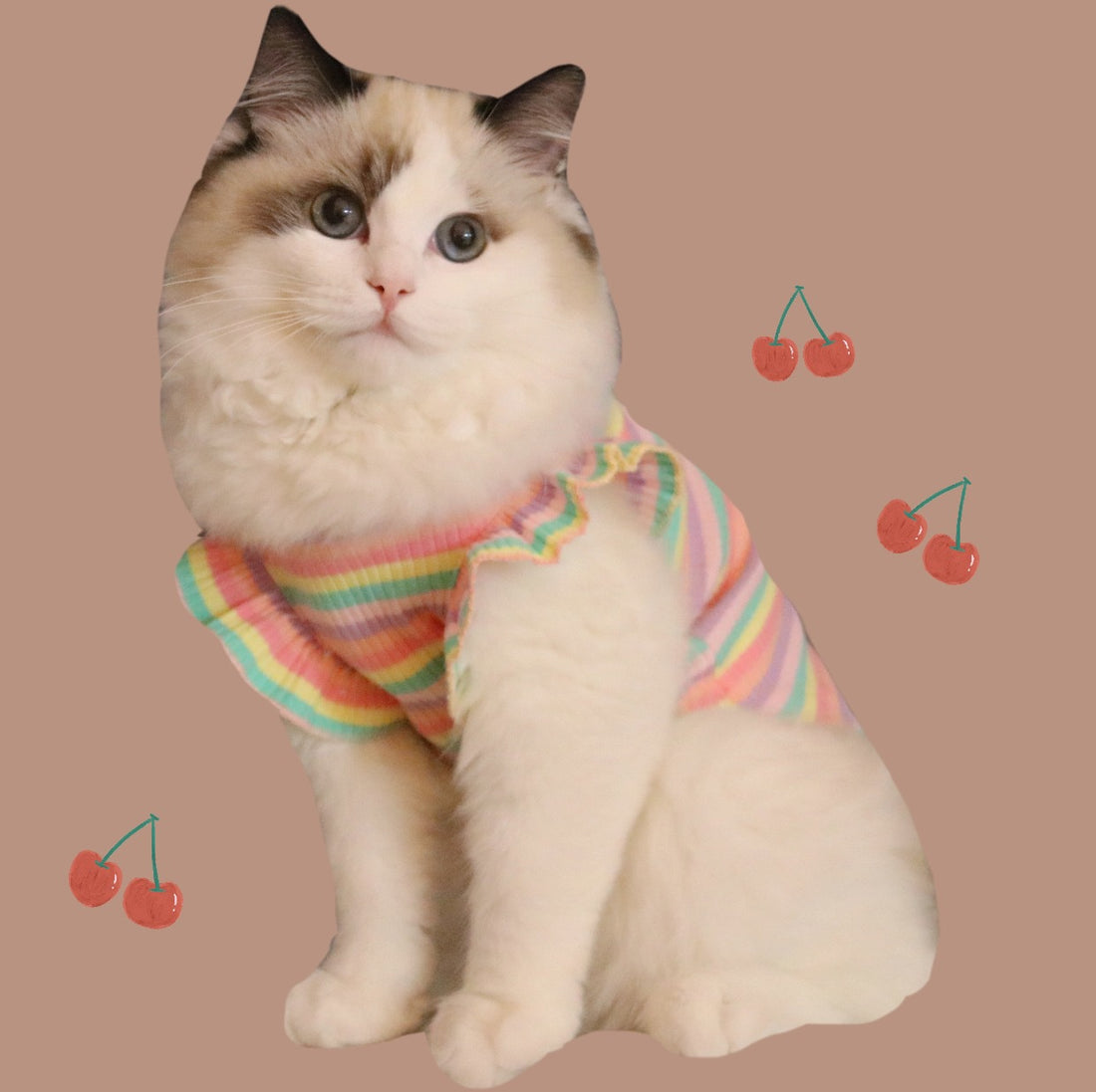 Breathable Summer Cotton Pet Outfit