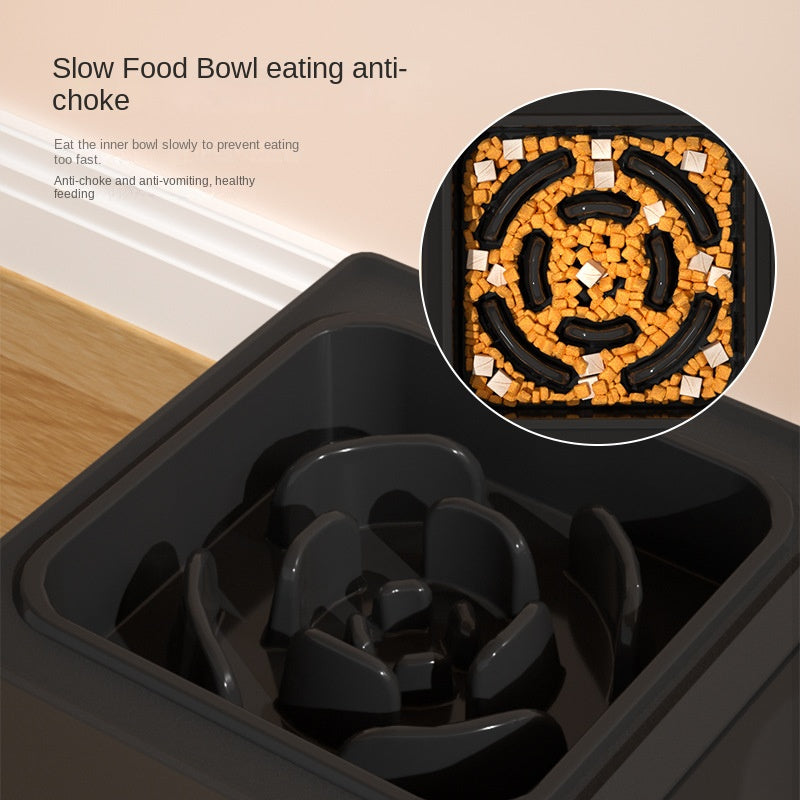 Double Feeding Bowls with Stainless Stand for Pet