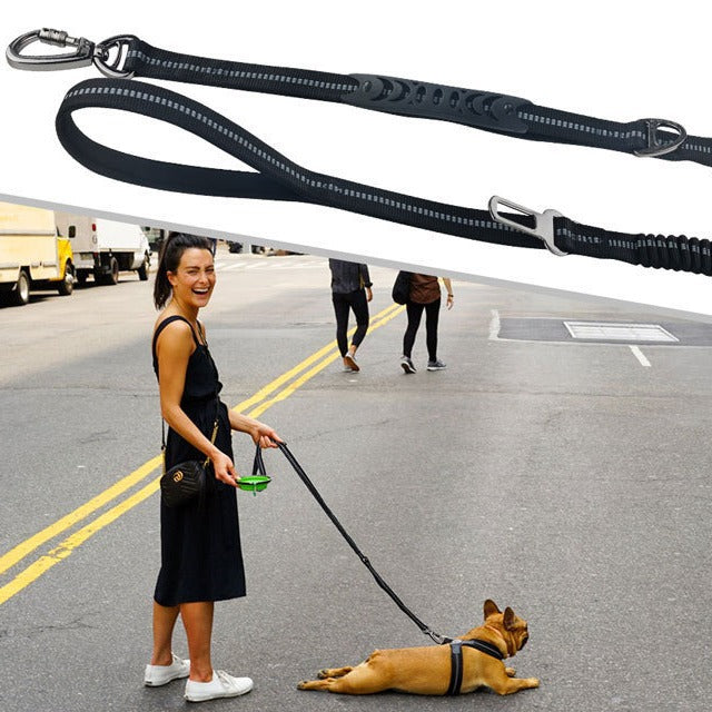 Traction Leash for Pet Outdoor Walking