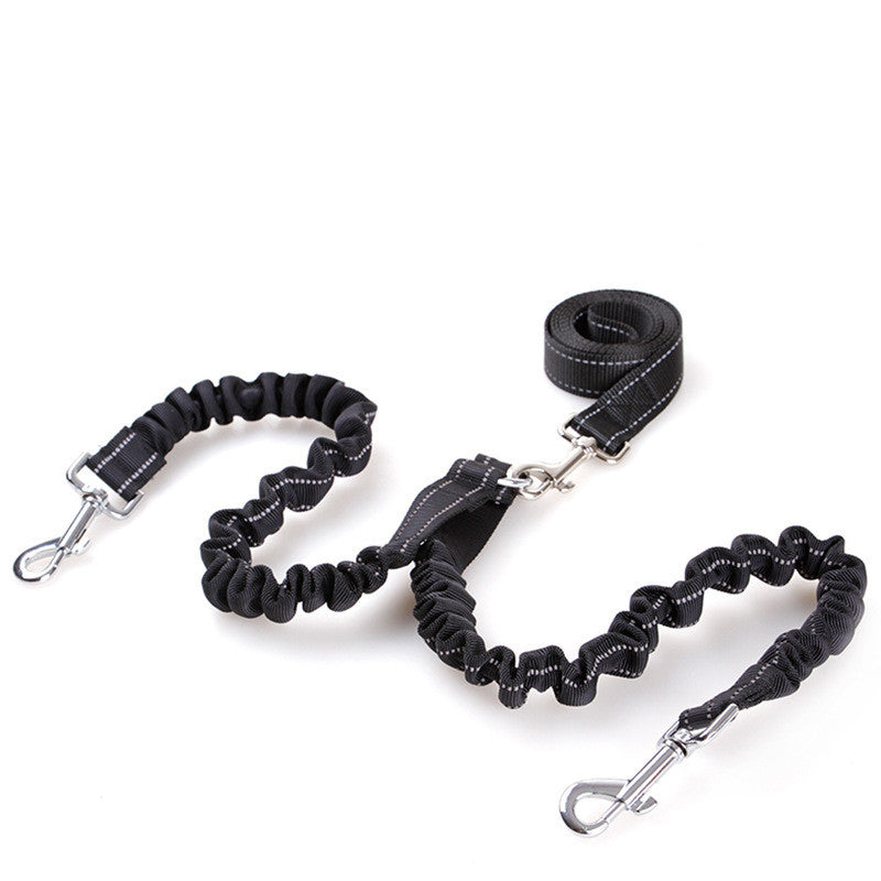 Double-Head Retractable Leash for Pet