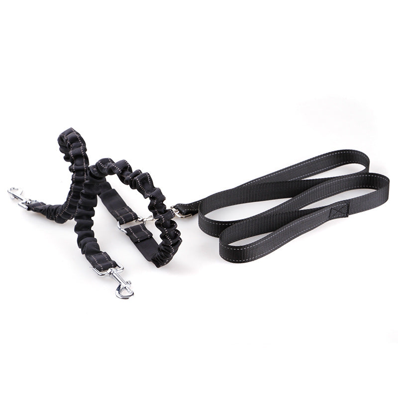 Double-Head Retractable Leash for Pet