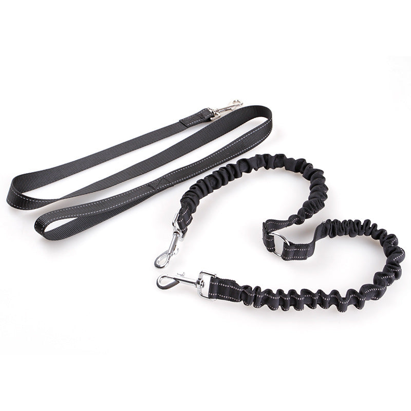 Double-Head Retractable Leash for Pet