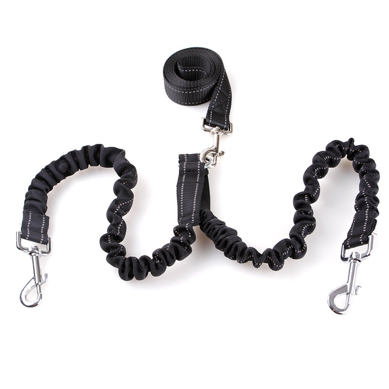 Double-Head Retractable Leash for Pet