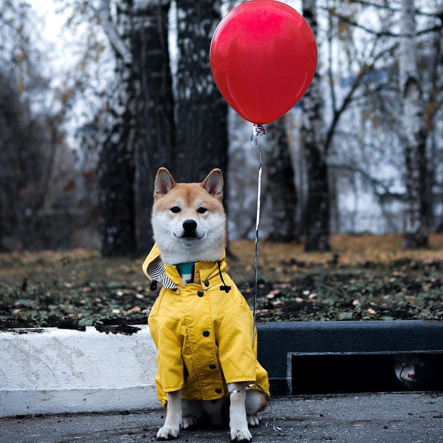 Tide Brand Windproof Jacket For Pets