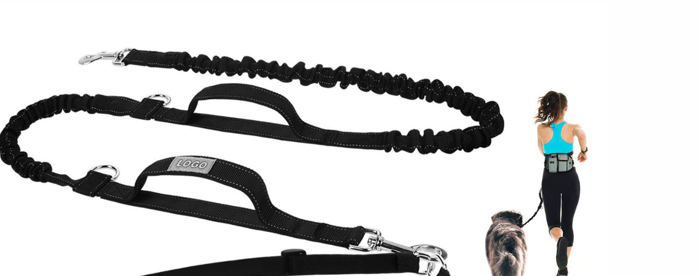Portable Running and Walking Leash for Pet