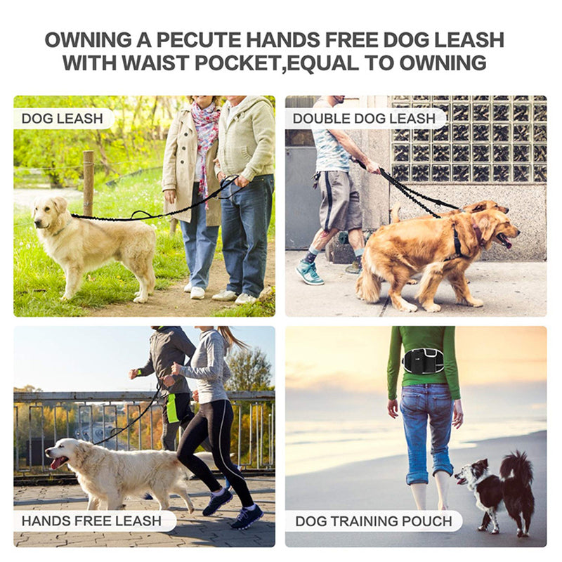 Portable Running and Walking Leash for Pet