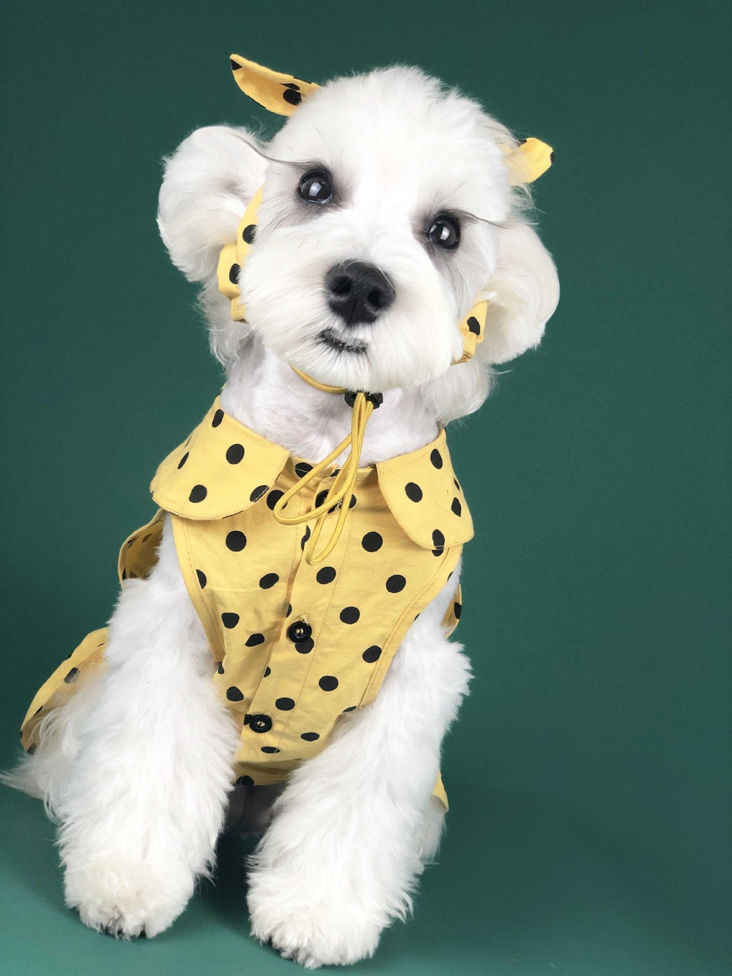 Lightweight Summer Pet Outfit