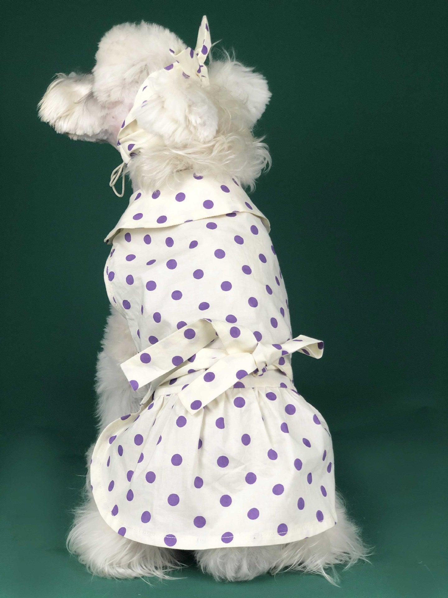 Lightweight Summer Pet Outfit