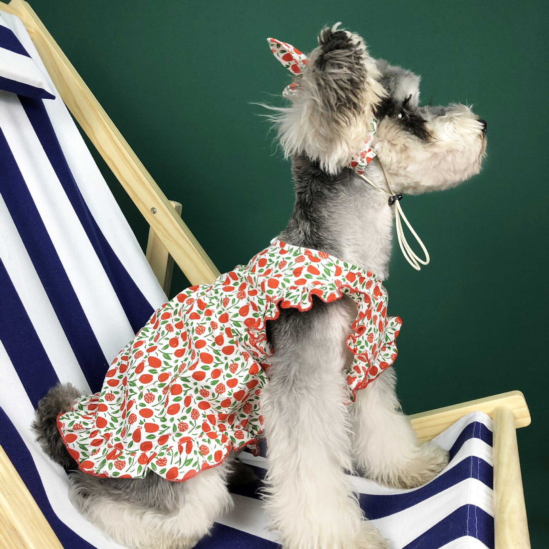 Lightweight Summer Pet Clothes