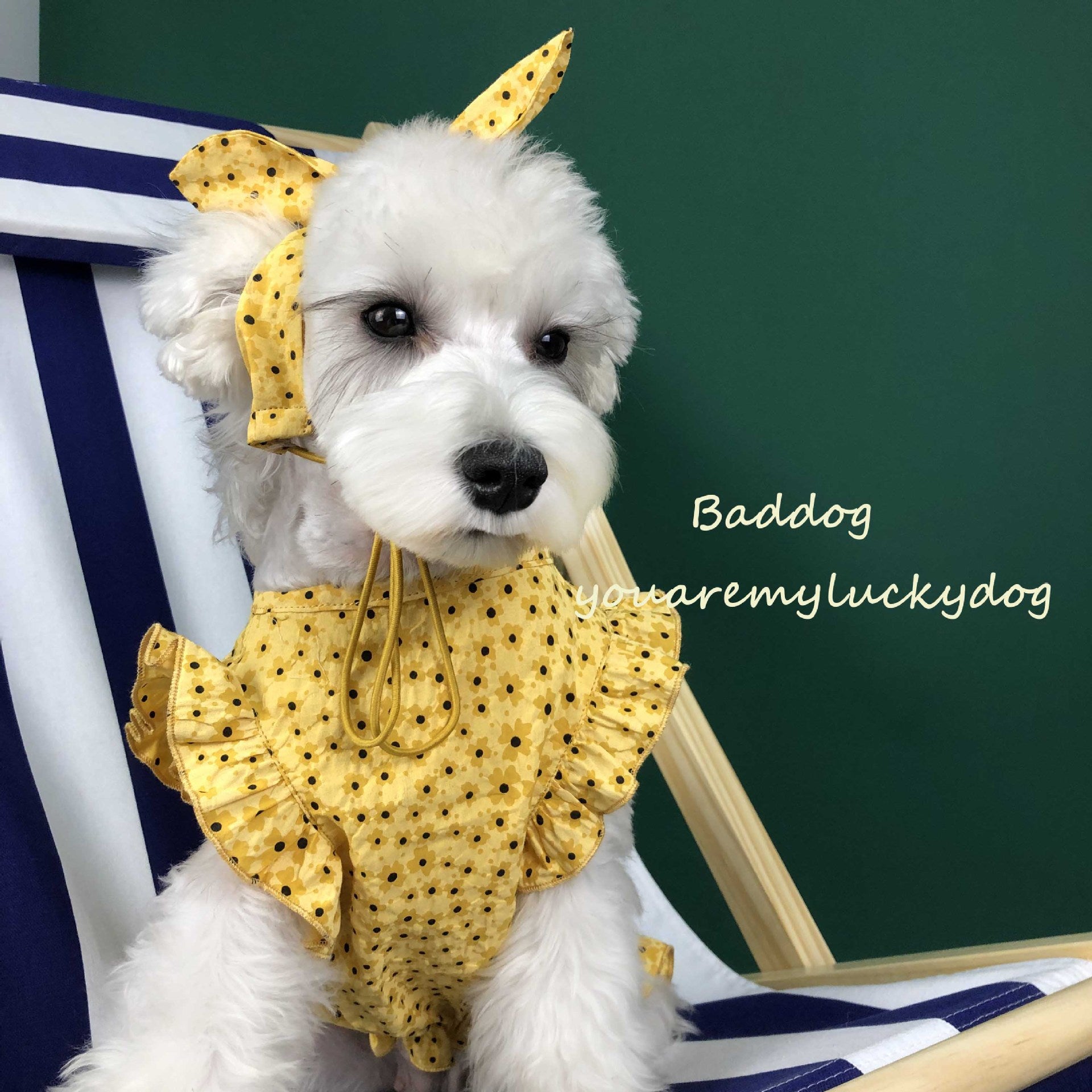Lightweight Summer Pet Clothes