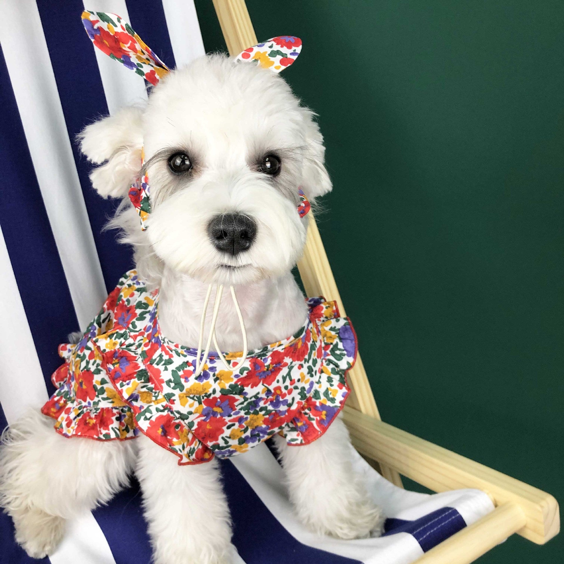 Lightweight Summer Pet Clothes