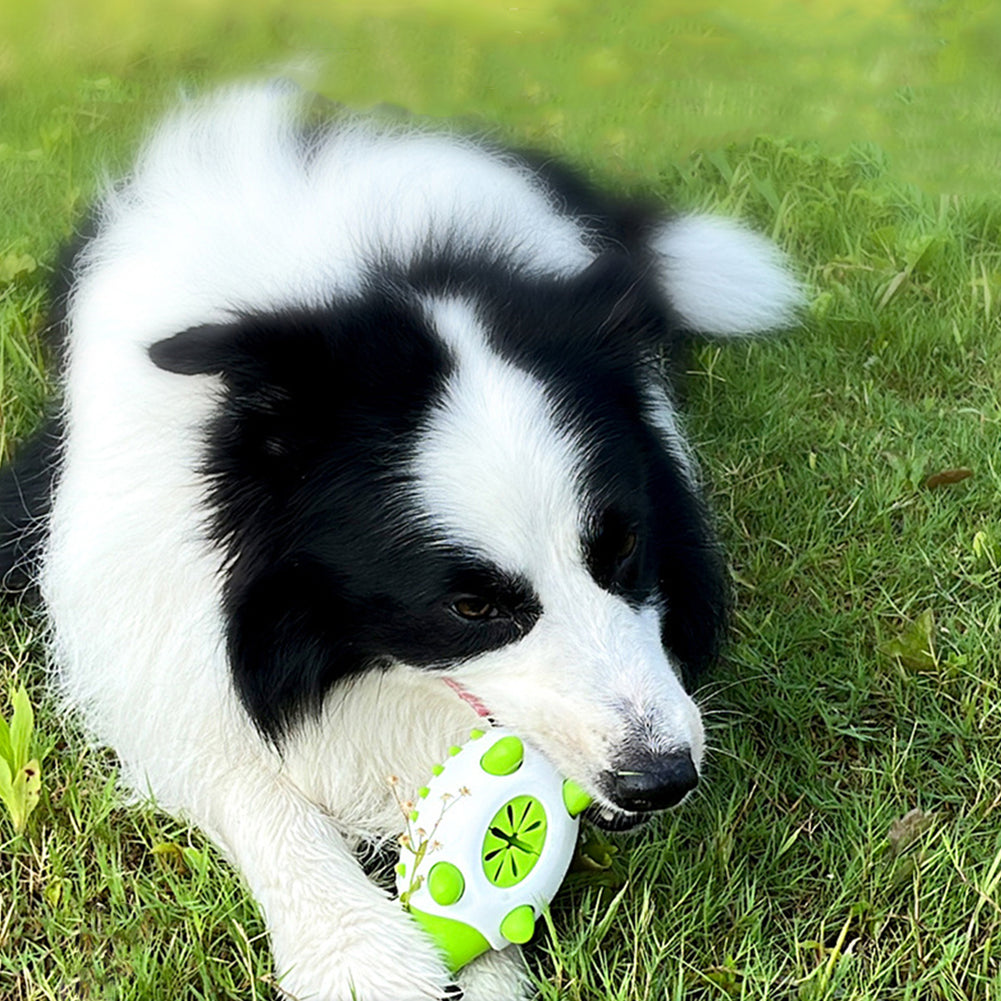 Leaking Food Chew Toys For Small And Large Pets