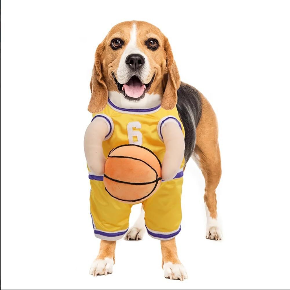 Basketball Themed Pet Costume with Ball