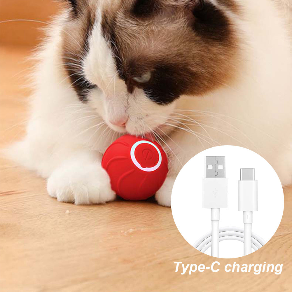 Automatic Bouncing Pet Ball Toy