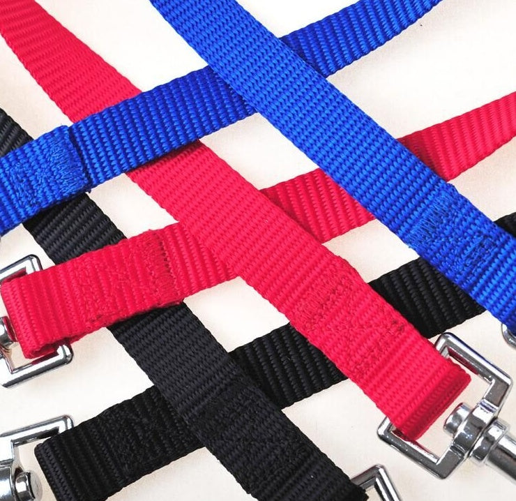 Double Twin Walking Leash for Pet
