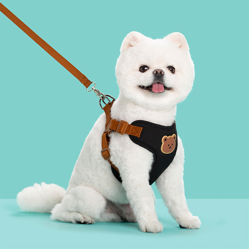 Pet Outing Leash and Strap