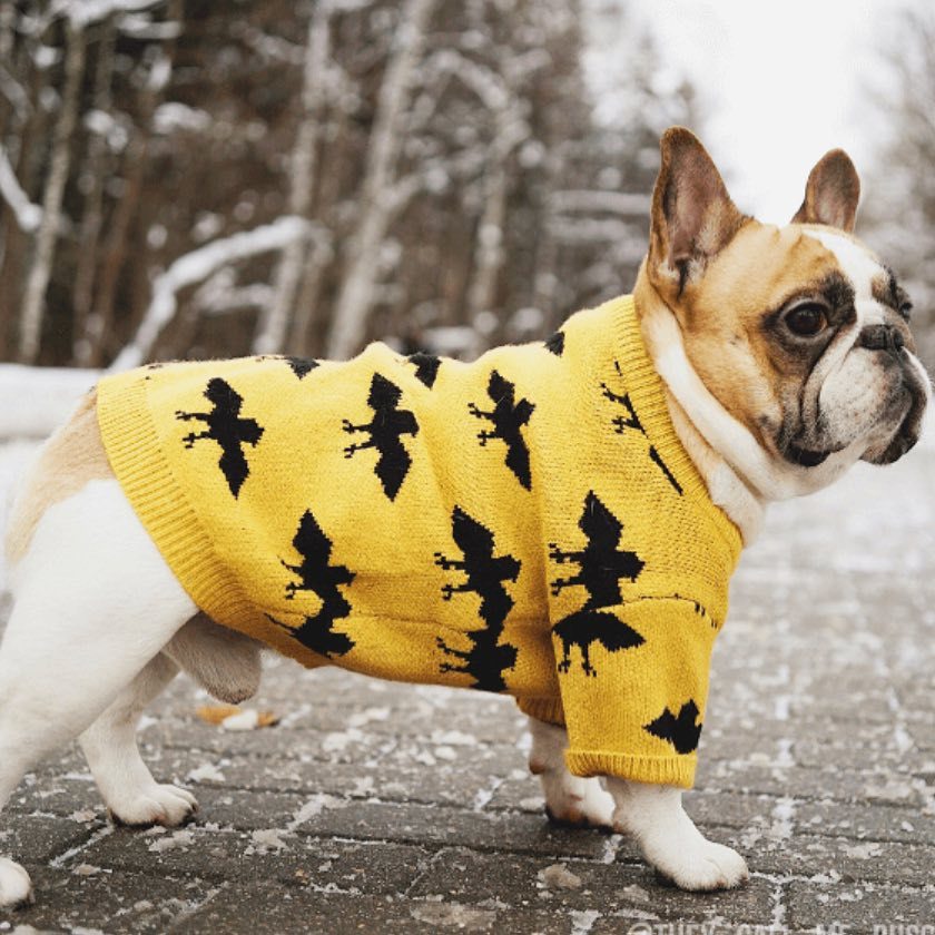 Warm Core-Spun Yarn Sweater For Pets