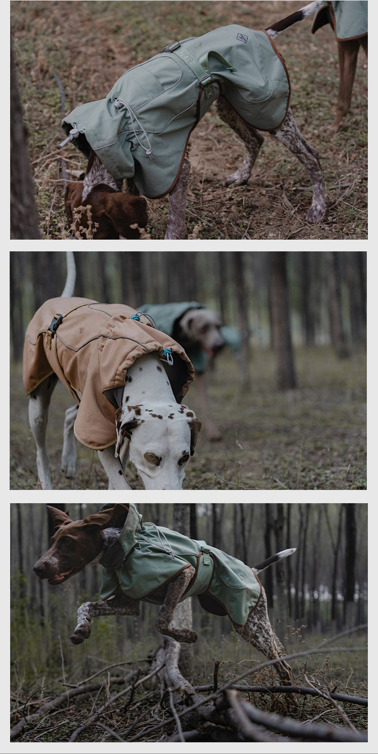 Outdoor Soft Shell Waterproof Windproof Jacket For Pets