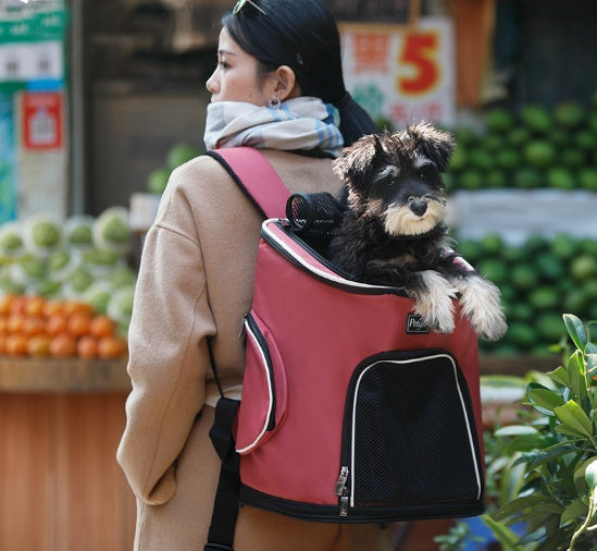 Pet Travel Backpack