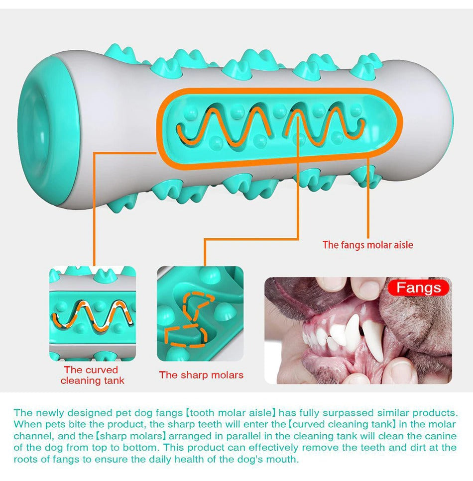 Squeaky Toys For Aggressive Chewer Pets