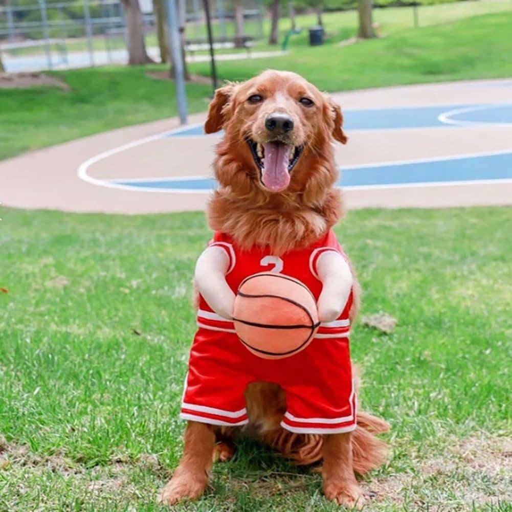 Basketball Themed Pet Costume with Ball