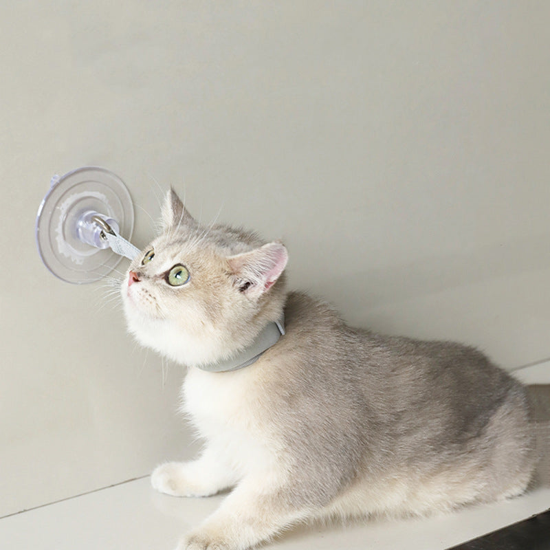 Pet Bath Neck Collar Accessories