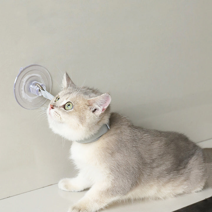 Pet Bath Neck Collar Accessories