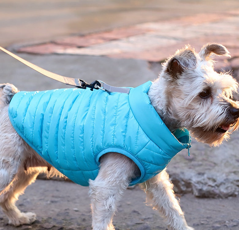 Autumn And Winter Nylon Zipper Jacket For Pets