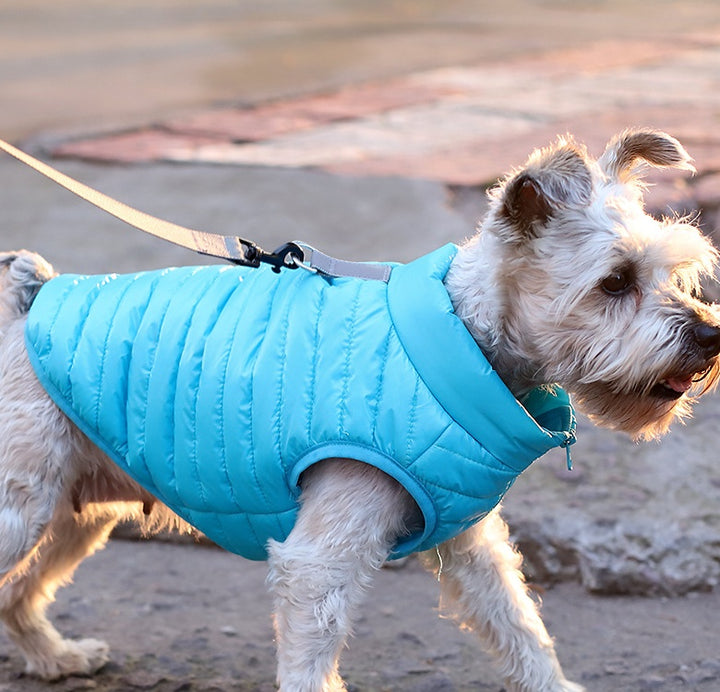 Autumn And Winter Nylon Zipper Jacket For Pets