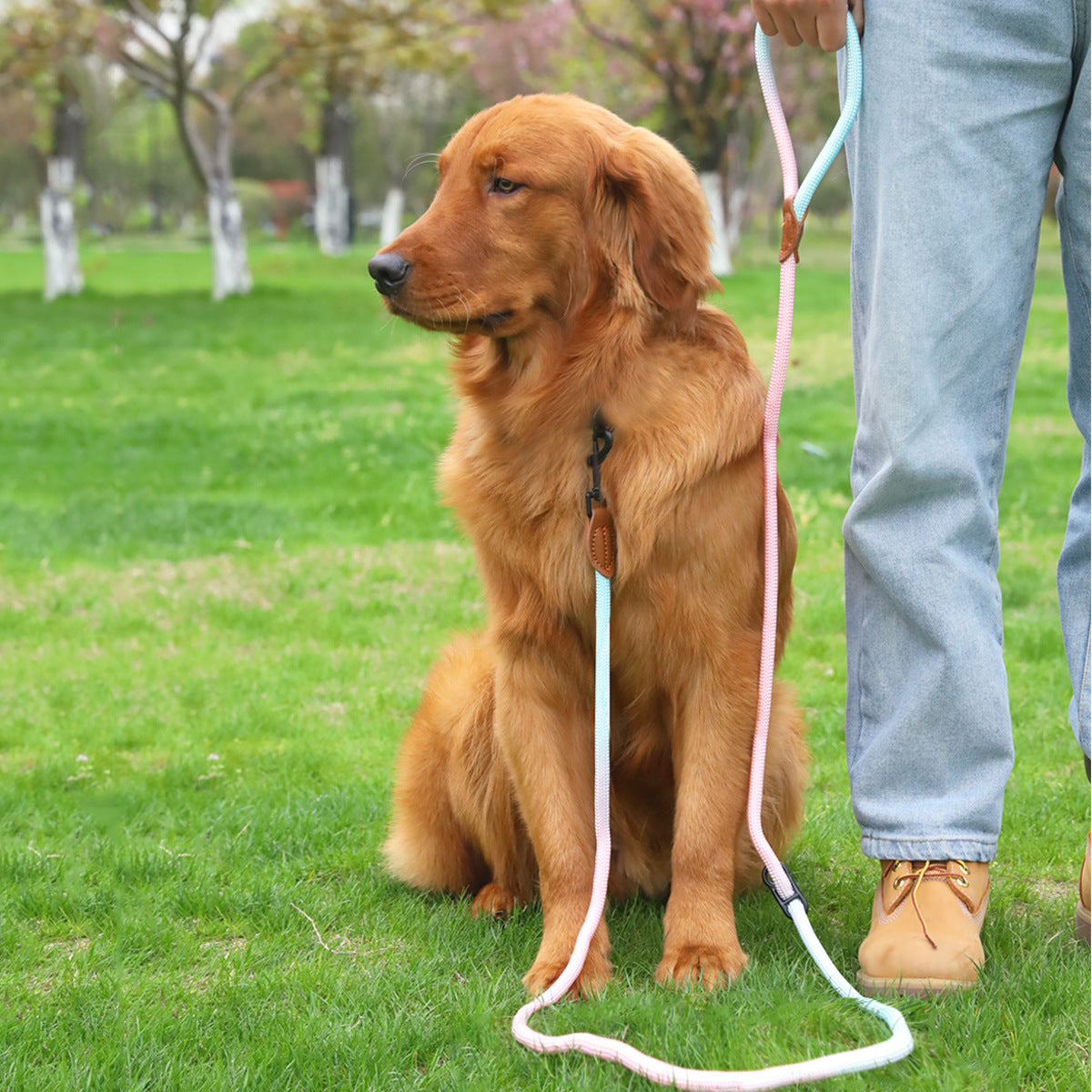 Multi-Purpose Reflective Walking Rope for Pet