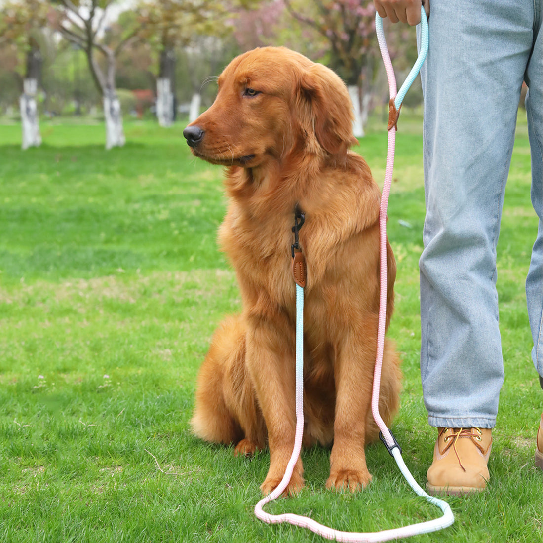 Multi-Purpose Reflective Walking Rope for Pet