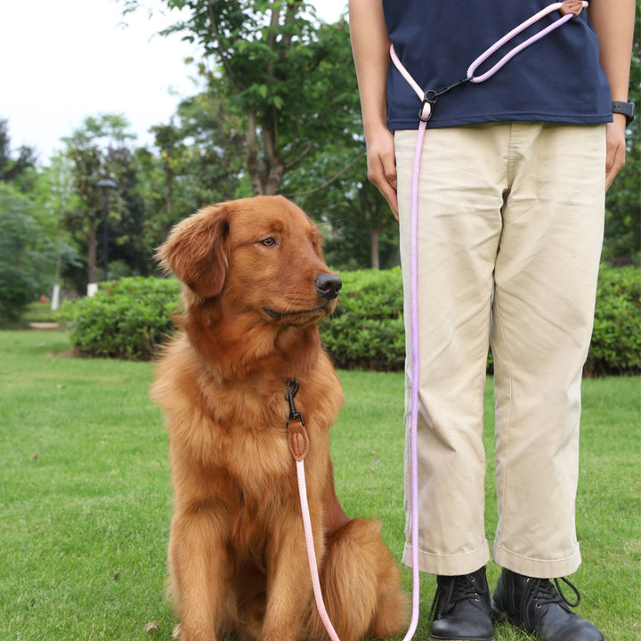 Multi-Purpose Reflective Walking Rope for Pet