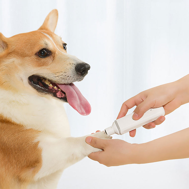 Electric Nail Polisher For Pets