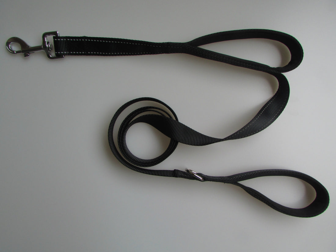 Double Handle Pull Leash for Pet