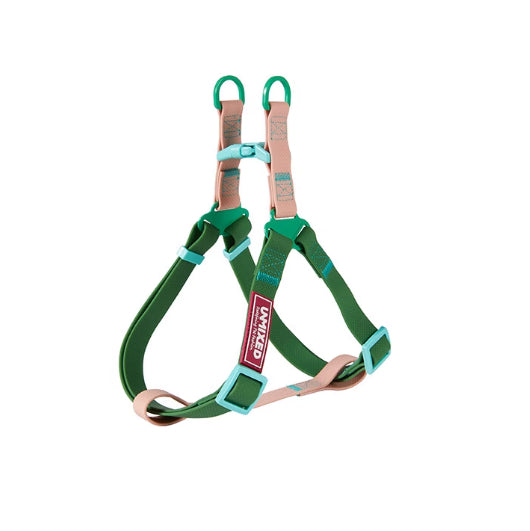 Handheld Outing Leash for Pet