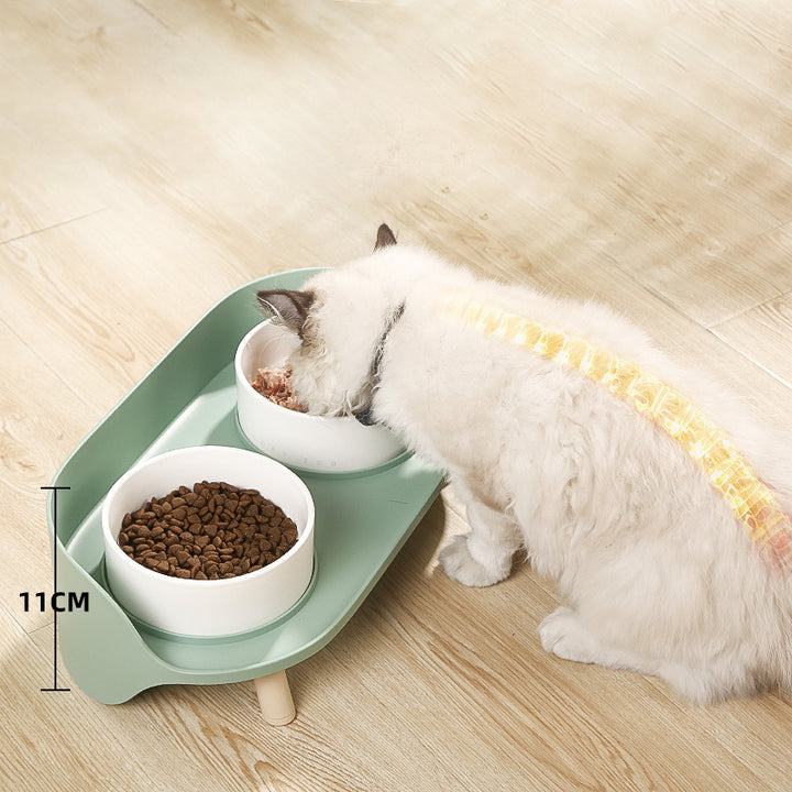 Tilted Double Feeding Bowls for Pet with Neck Protection